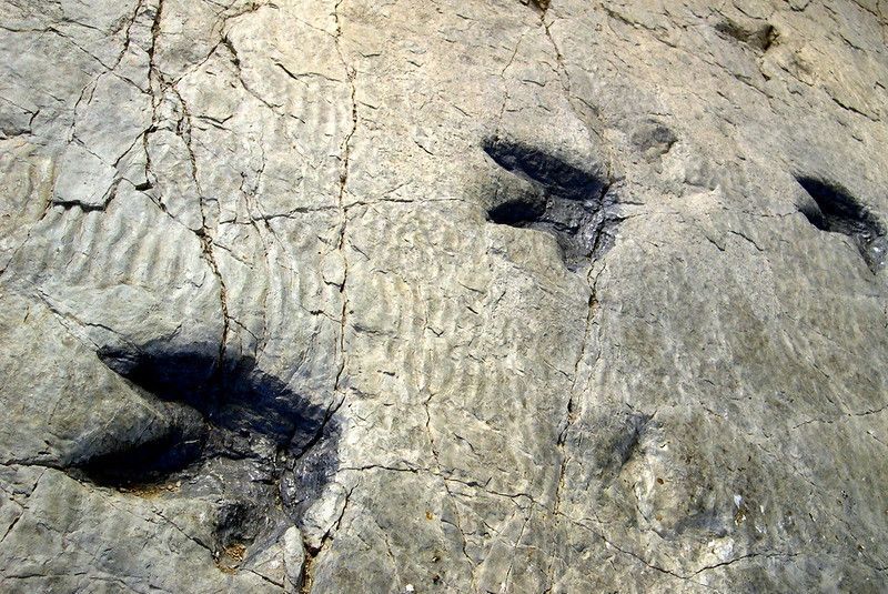Senda de los Dinosaurios, una de las cosas que hacer en La Rioja