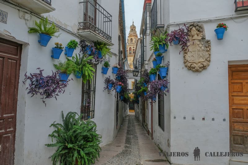Callejón de las Flores