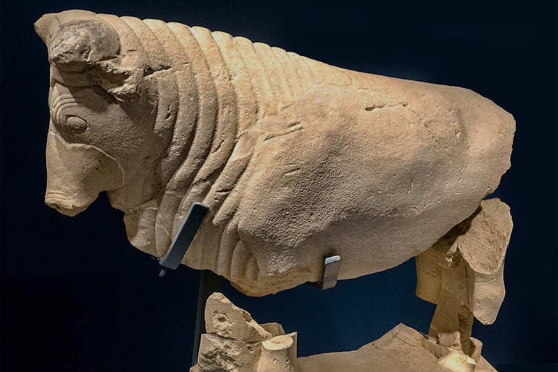 Museo Íbero