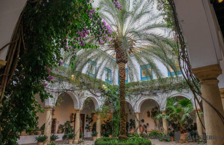 Tour gratuito por los patios de Córdoba