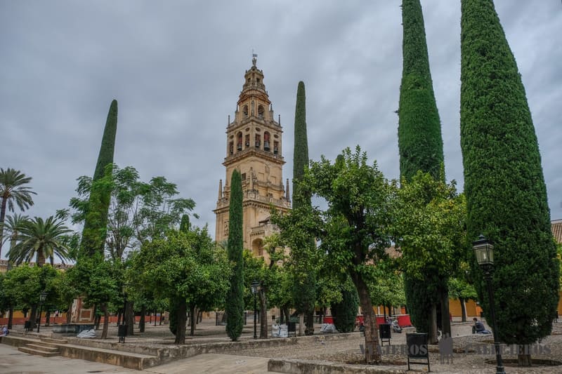 Patio de los Naranjos