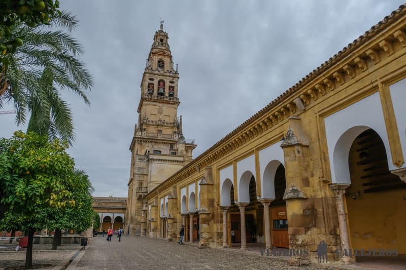 Patio de los Naranjos
