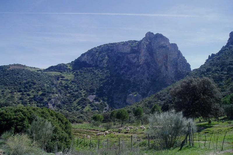 Vía Verde de la Sierra, una de las cosas que hacer en Olvera