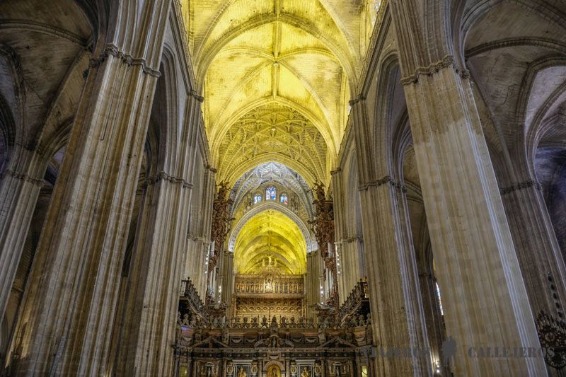 Detalles del interior de la Catedral