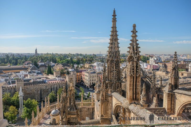 Visita a las cubiertas de la Catedral