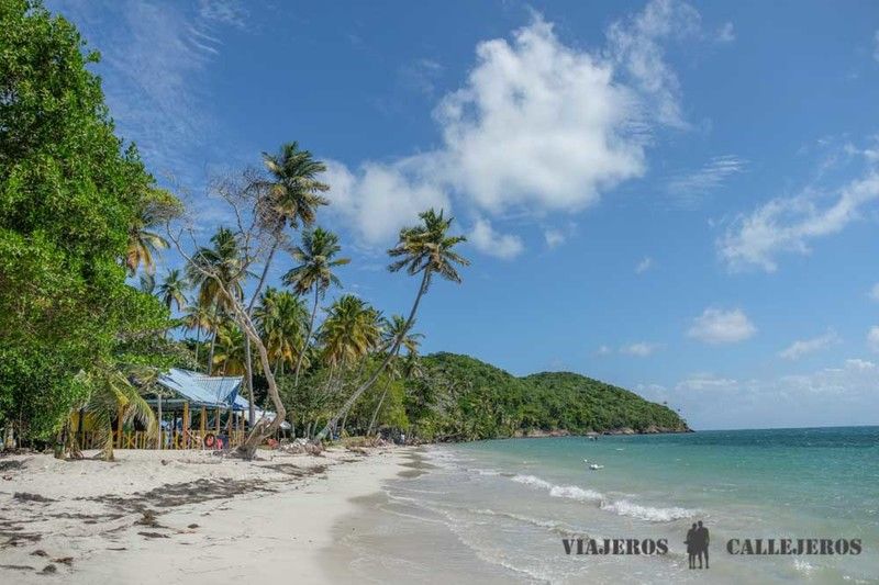 Playa de Manzanillo