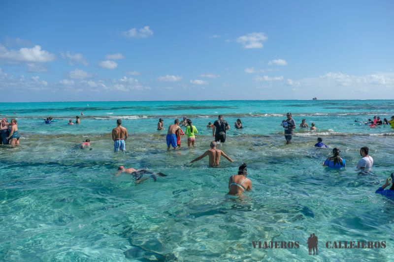 El Acuario
