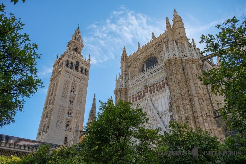 Catedral y Giralda de Sevilla