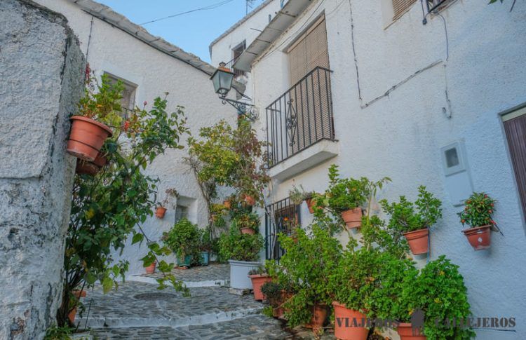 Pampaneira