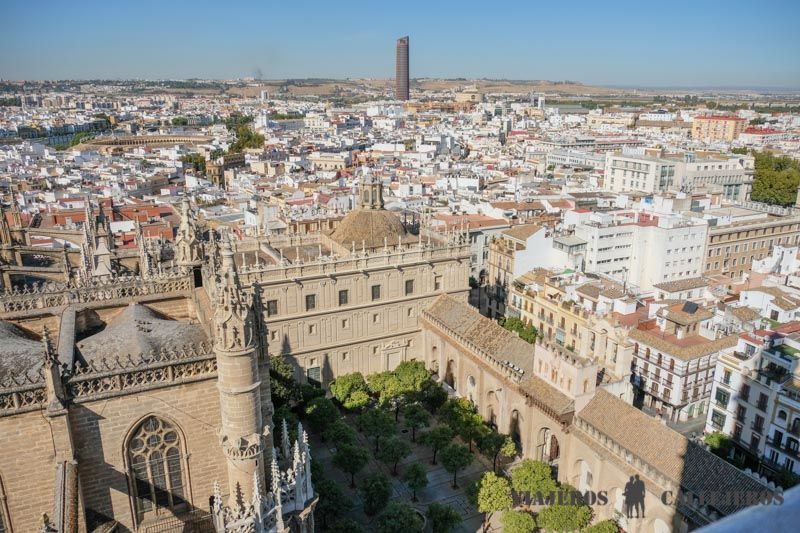 Patio de los Naranjos en la visita a las cubiertas de la Catedral