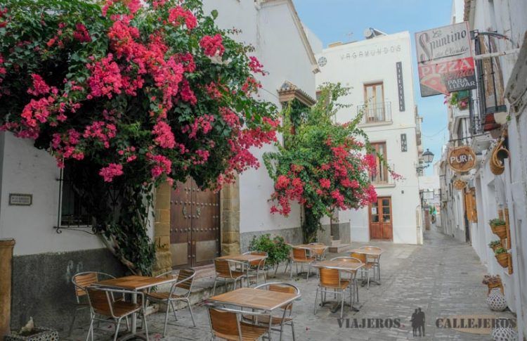 Restaurantes donde comer en Tarifa