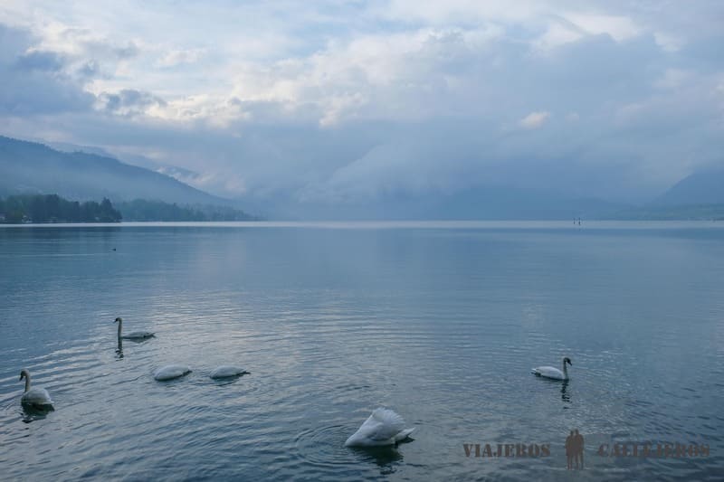 Vistas al Lago Thun, que ver en Interlaken