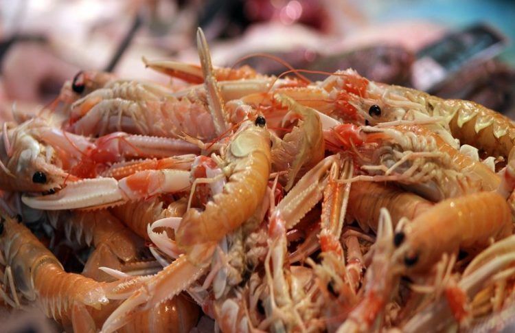 Er chiclanero cervecería marisquería, uno de los restaurantes en Huelva más recomendados
