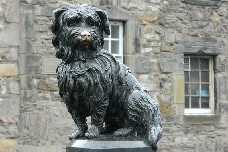 Estatua del perro Bobby, otro de los lugares que ver en Edimburgo