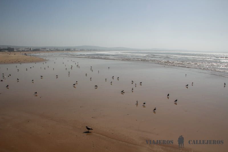 Playa de Essaouira