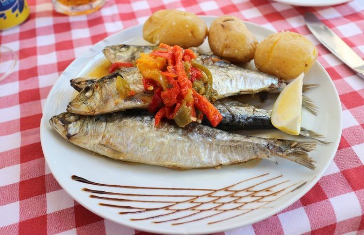 Sardinas, uno de los productos que debes probar en los restaurantes en Coímbra