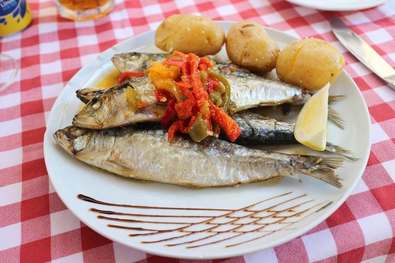 Sardinas, uno de los productos que debes probar en los restaurantes en Coímbra