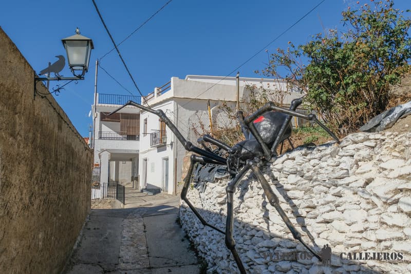 Araña Tejedora de Sueños