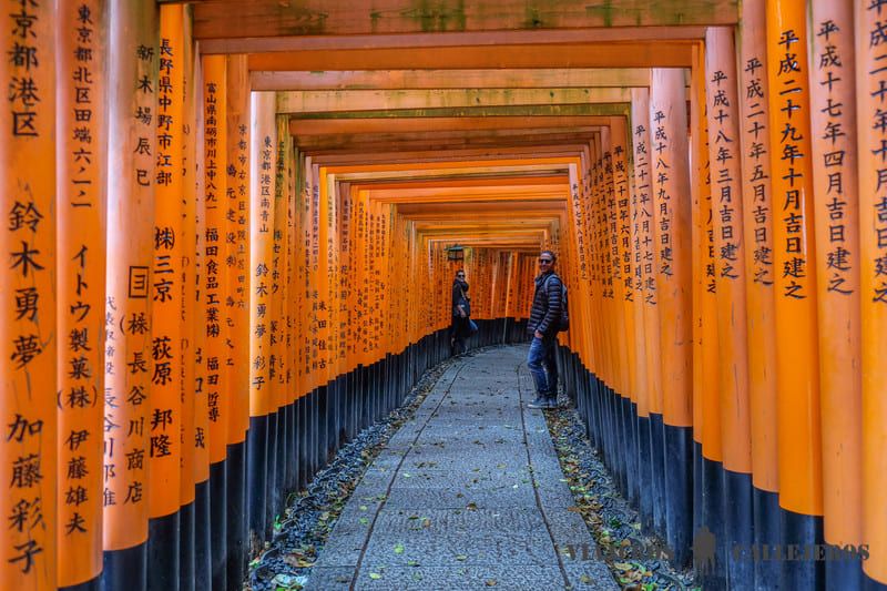 Inari en Japón