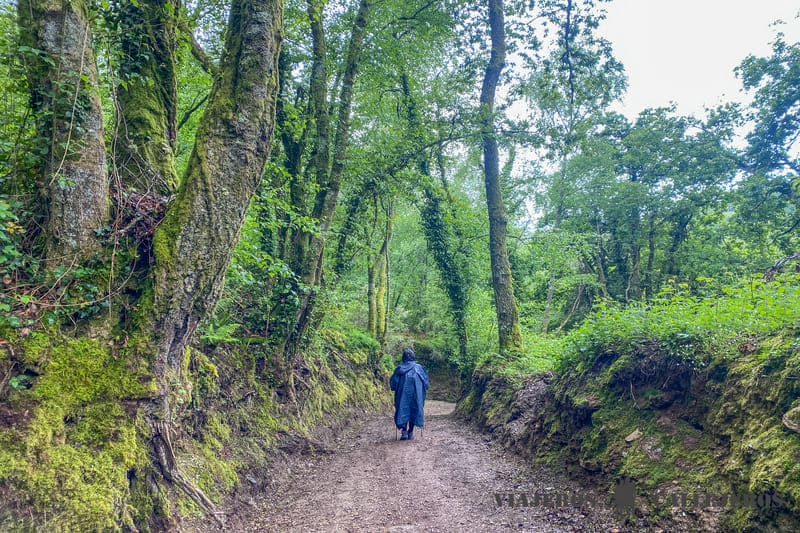 Chubasquero para la lluvia, uno de los imprescindibles que debes llevar para hacer el Camino de Santiago