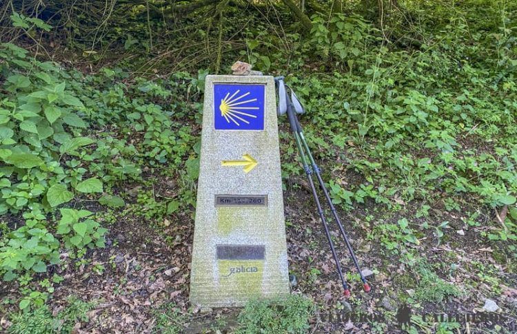 Bastones de trekking para hacer el Camino de Santiago