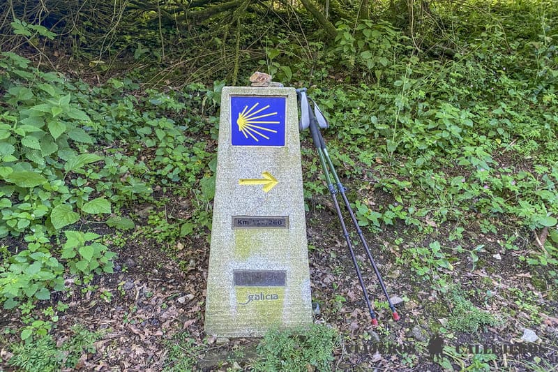 Bastones de trekking