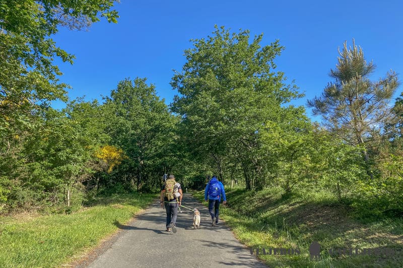 Peregrinos con mochila para hacer el Camino de Santiago