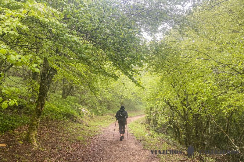 Preparación para hacer el Camino de Santiago