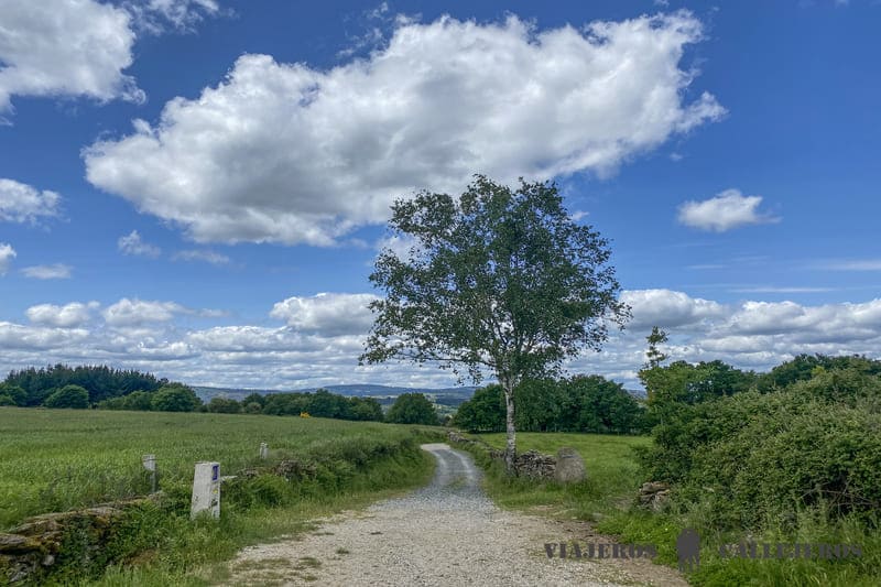 Camino de Santiago francés