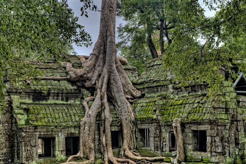 Templos de Angkor, otra de las maravillas del mundo que debes ver una vez en la vida