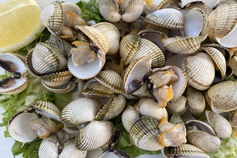 Berberechos, uno de los platos que debes probar en los restaurantes en Sanxenxo