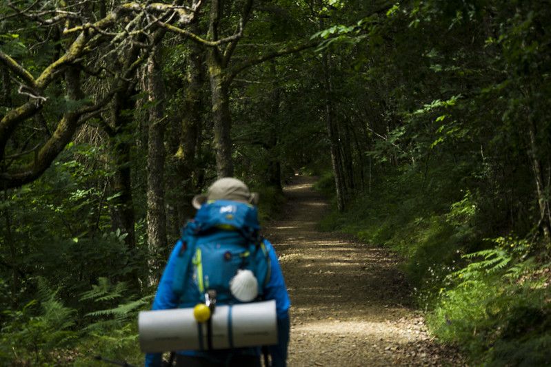 Camino Primitivo, otra de las principales rutas del Camino de Santiago