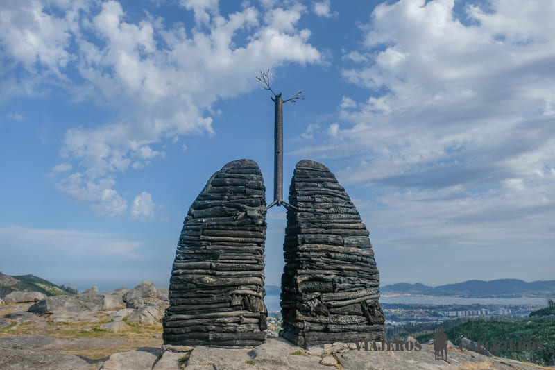 Pulmones de Chanderito