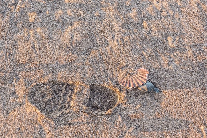 Camino de Santiago